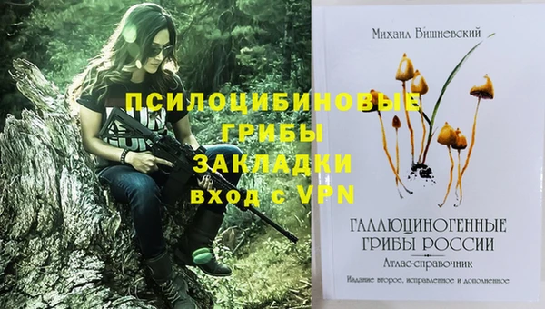 синтетический гашиш Алексеевка