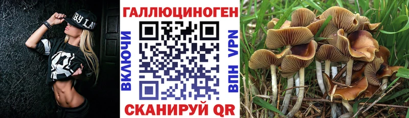 Галлюциногенные грибы GOLDEN TEACHER  Южно-Сахалинск 