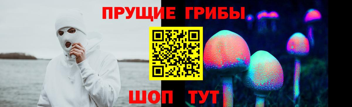 Южно-Сахалинск  Галлюциногенные грибы ЛСД  купить  цена  Псилоцибиновые грибы MAGIC MUSHROOMS  Вход с VPN 